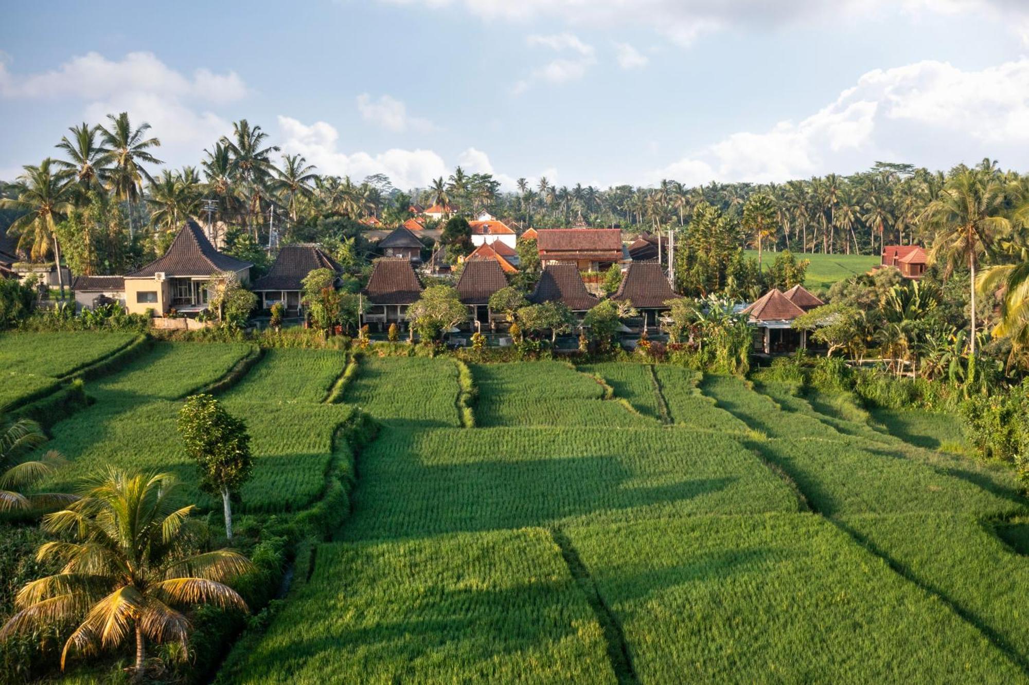 Wooden Ganeca Villas By Pramana Villas أوبود المظهر الخارجي الصورة